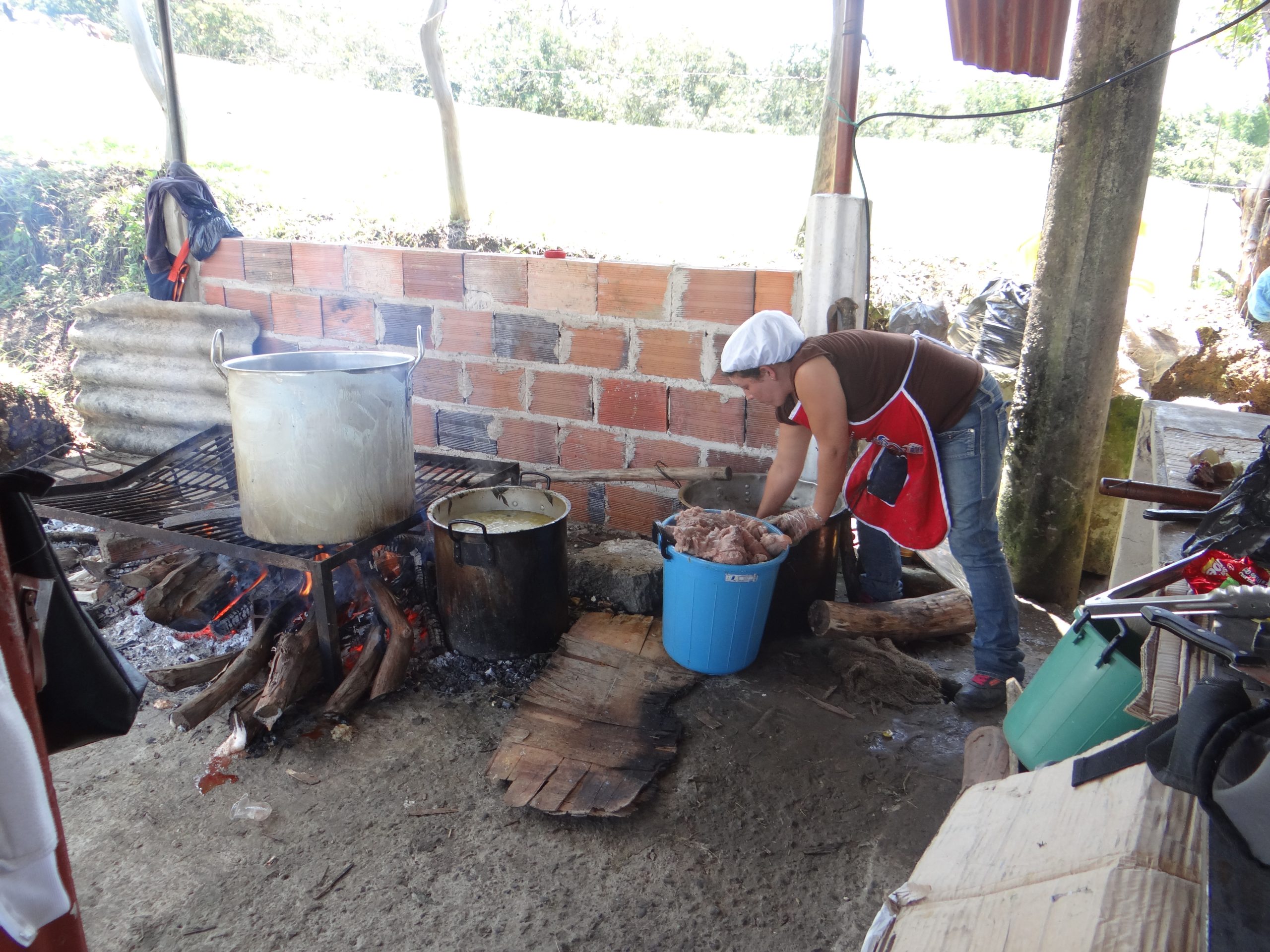 capacidades productivas en contextos rurales